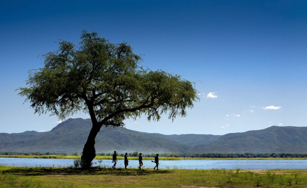 Mana Pools National Park, Nyamatusi, Zimbabwe, Ganders Travel