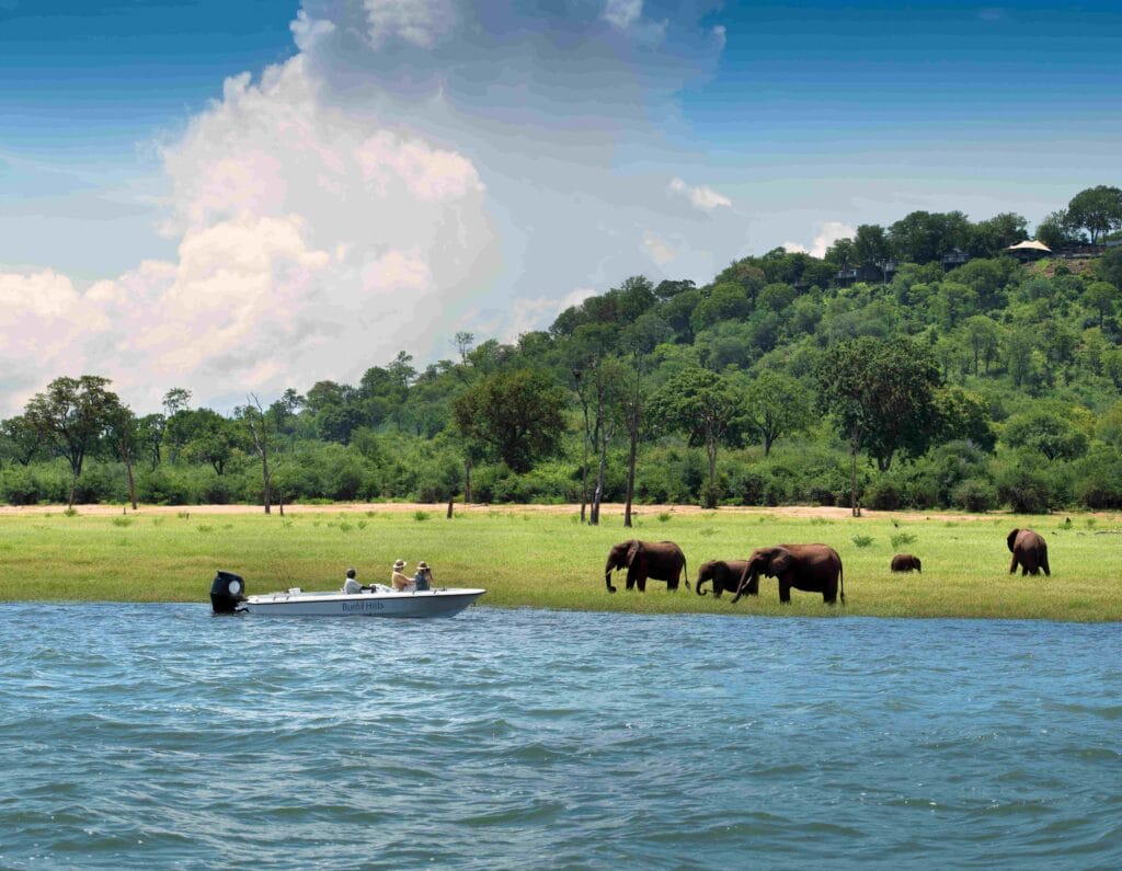 Zimbabwe Matusadona Bumi Hills, Ganders Travel