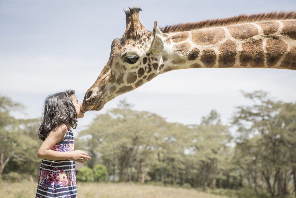 THE SAFARI COLLECTION Giraffe Manor Little kisses Big kisses - Ganders Travel
