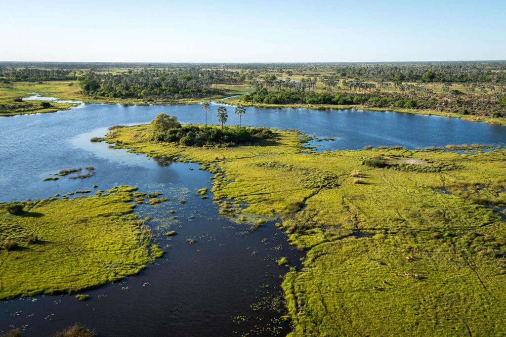Botswana Safari 2026