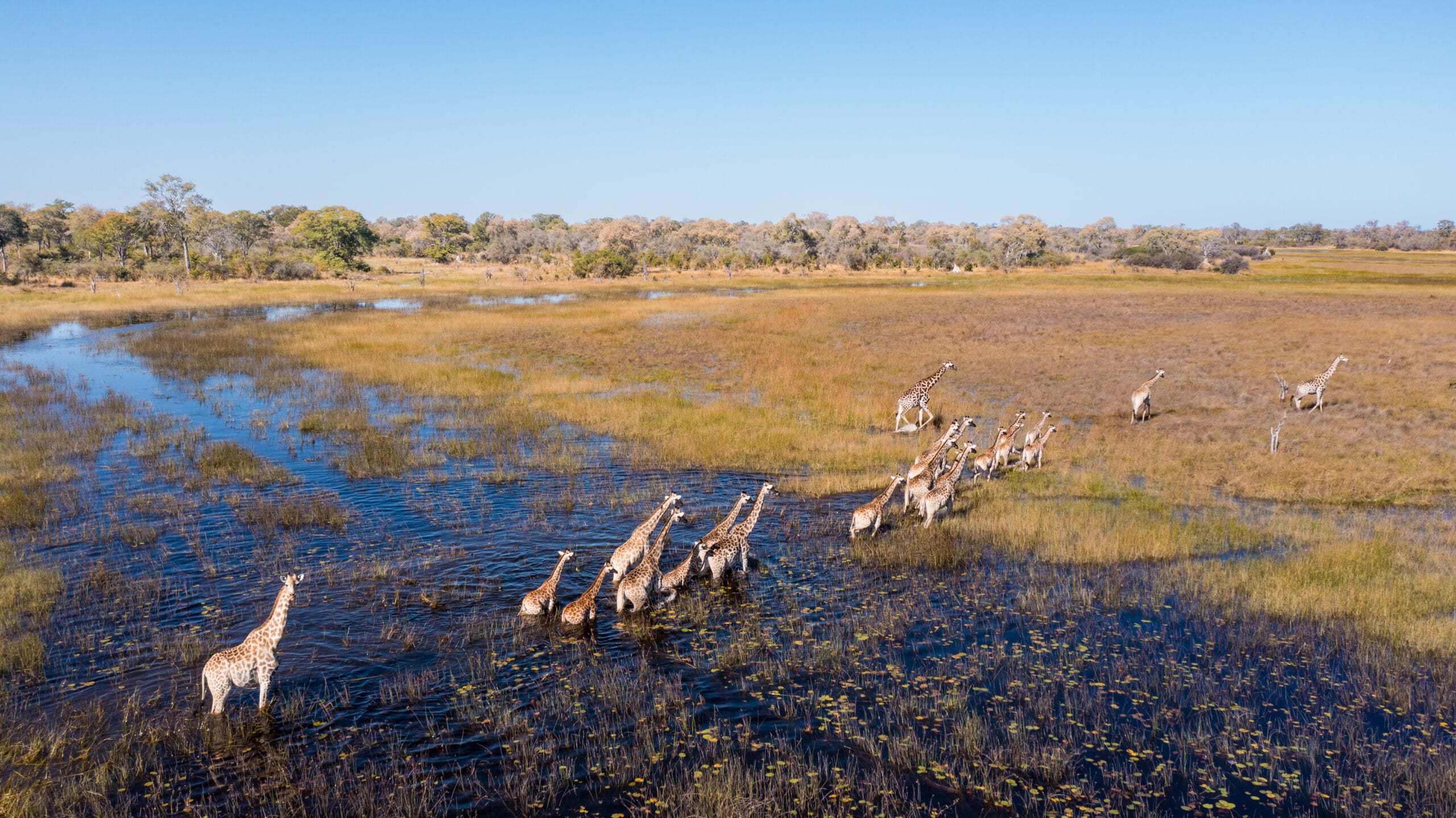 Botswana safari 2026