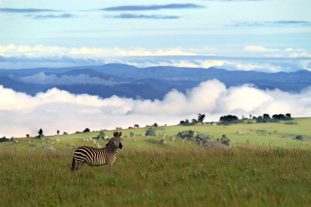 Malawi